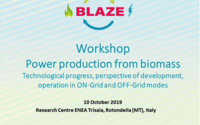 Workshop – Power production from biomass