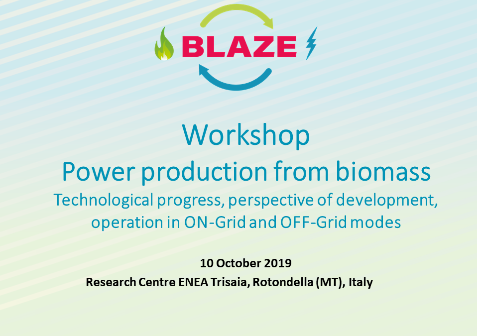 Workshop – Power production from biomass