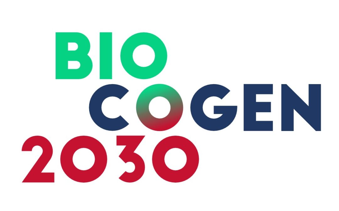 BIOCOGEN 2030 forum launched to promote  small and medium-scale CHP from biomass