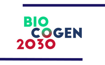 Bioenergy and cogeneration in the current energy crisis