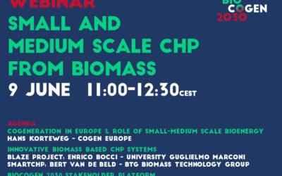 Small and medium-scale CHP from biomass: Horizon 2020 projects and the BIOCOGEN 2030 platform