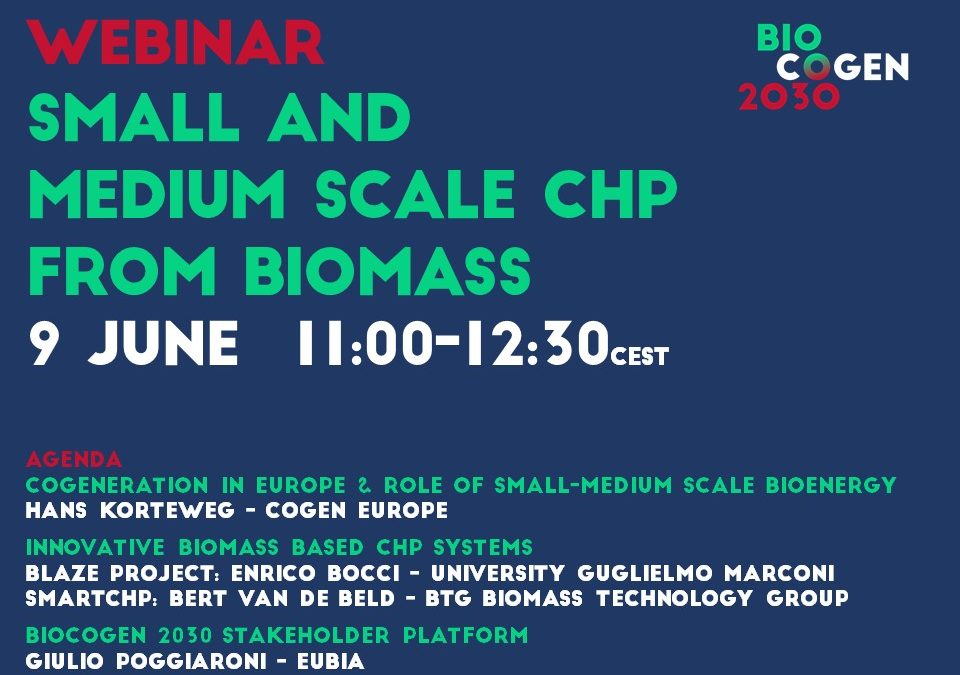 Small and medium-scale CHP from biomass: Horizon 2020 projects and the BIOCOGEN 2030 platform