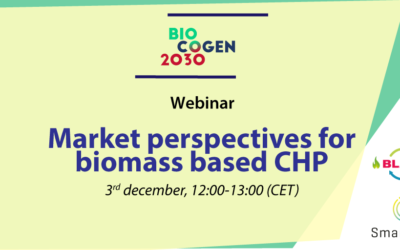 Market perspectives for biomass based CHP – BIOCOGEN 2030 webinar