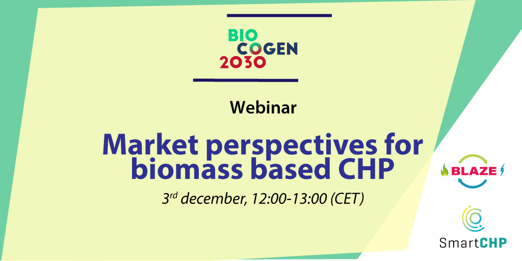 Market perspectives for biomass based CHP – BIOCOGEN 2030 webinar
