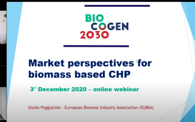 Market perspectives for small–medium scale CHP from biomass – 3rd BIOCOGEN 2030 webinar