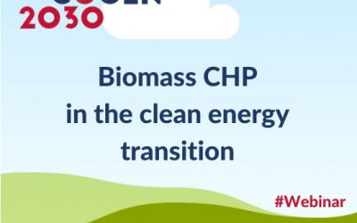 Biomass CHP in the clean energy transition – a BIOCOGEN 2030 webinar