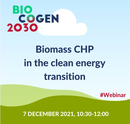 Biomass CHP in the clean energy transition – a BIOCOGEN 2030 webinar